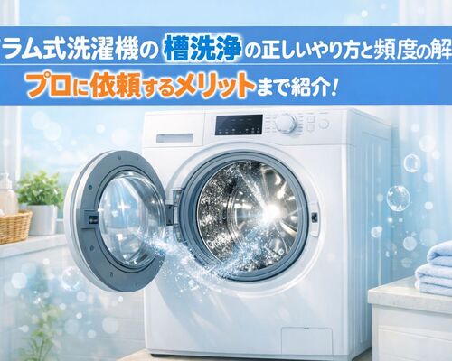 24 ドラム式洗濯機 槽洗浄