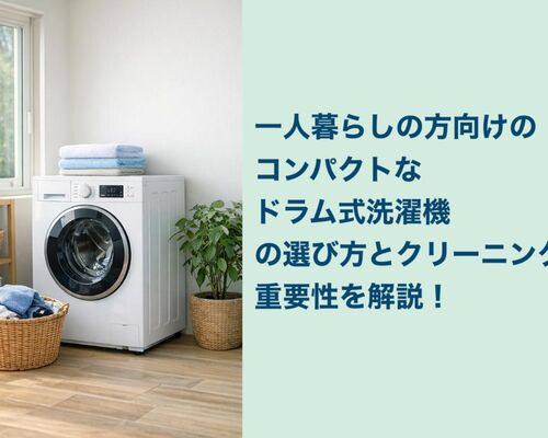 30ドラム式洗濯機 一人暮らし コンパクト