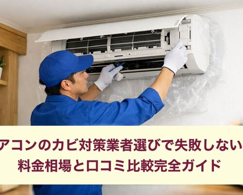 30 エアコン カビ 業者