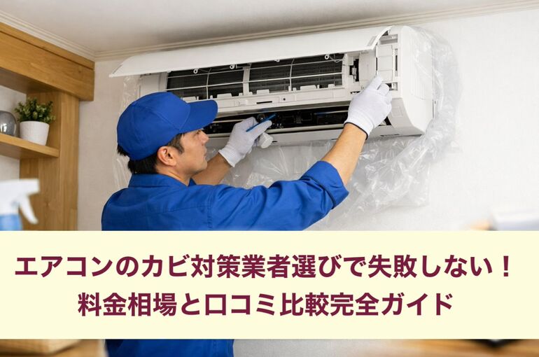 30 エアコン カビ 業者