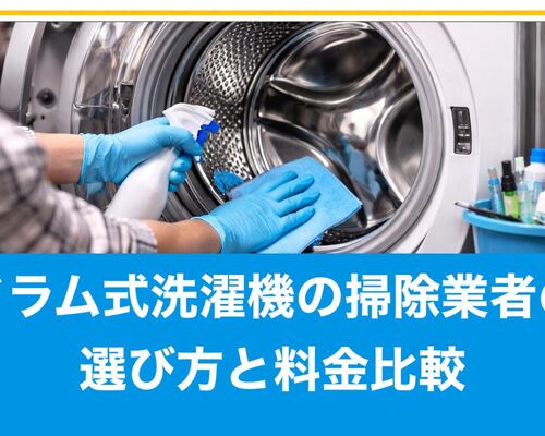 29ドラム式洗濯機 掃除 業者