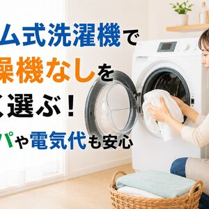 ドラム式洗濯機 乾燥機 なし