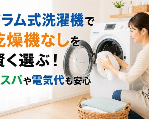 ドラム式洗濯機 乾燥機 なし
