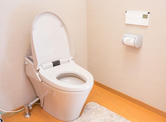 トイレクリーニング