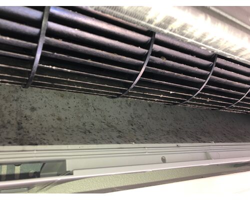 E73C56CA-B09B-4D61-A084-4EE904384A2B