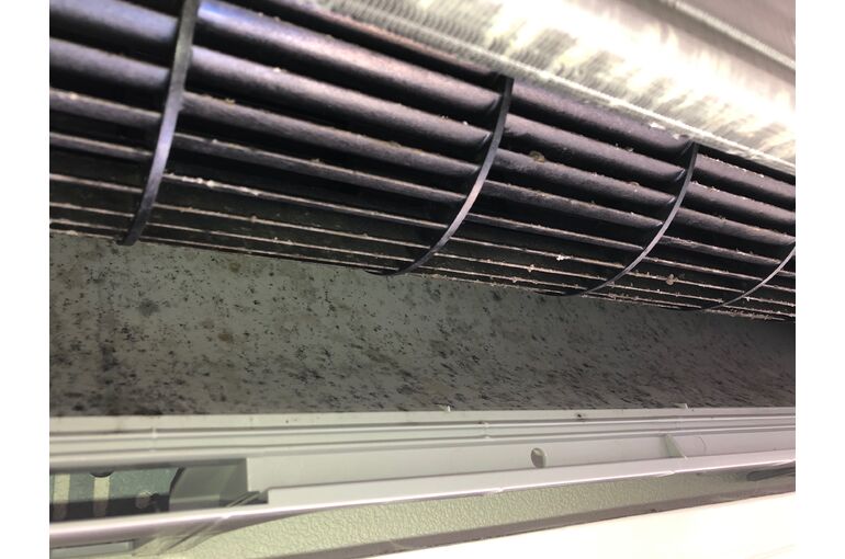 E73C56CA-B09B-4D61-A084-4EE904384A2B