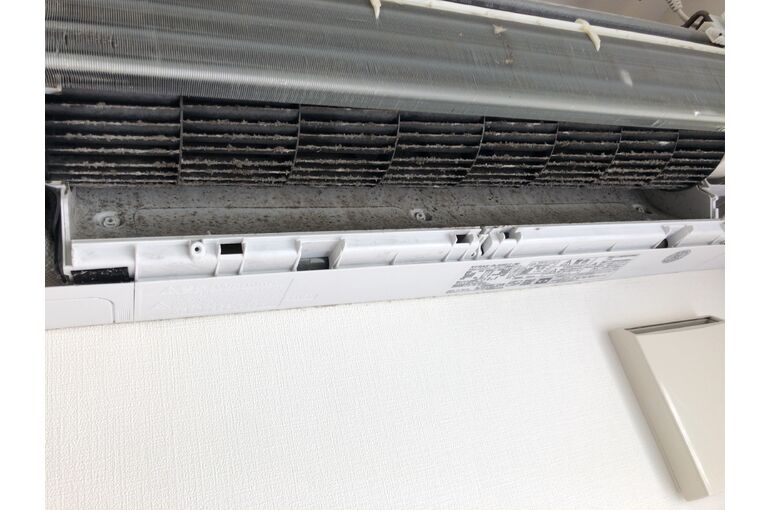 0AA8DB88-FEF7-40DE-858F-03A9D2EED841