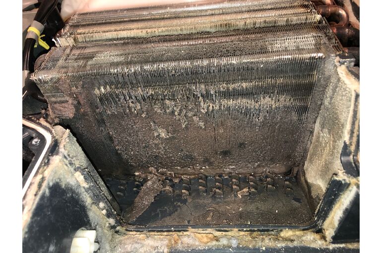 733060BB-BEAE-413A-8228-42CED8C30AA1