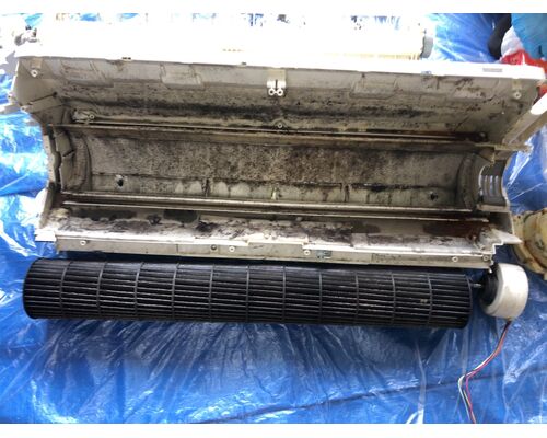 457E97E0-0BEA-4B5E-A8A1-B5416A6DA73A