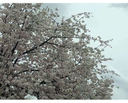 6F0A9A4A-8404-4BED-BDC1-197B7D90F31A