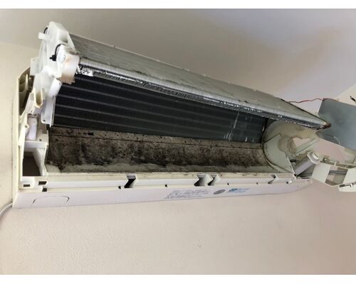 B1C6C350-DD6A-460D-8EE4-76A46CA2767D