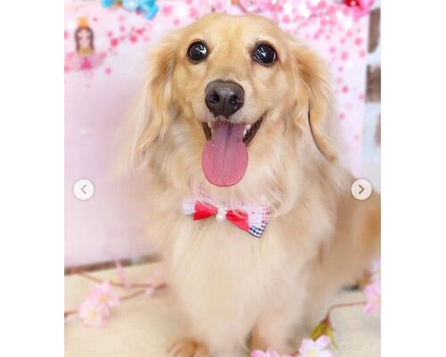 55CCB47B-9FFE-4DFF-89D2-037C198F7095