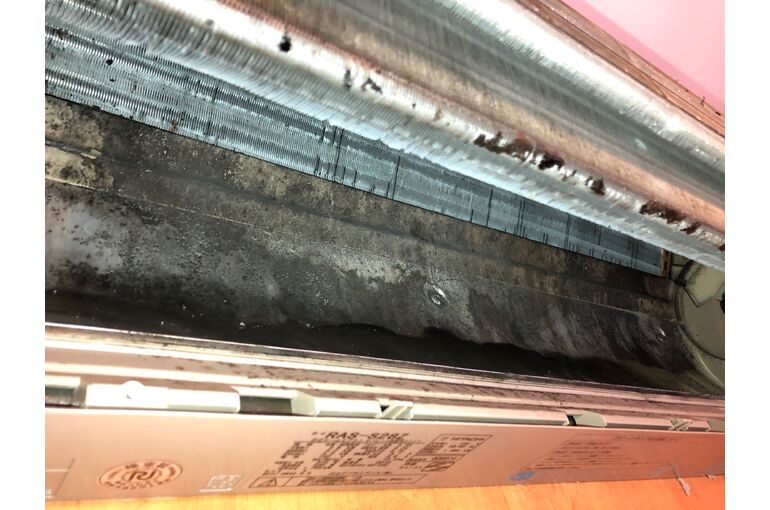 D7556254-0156-408D-BE4E-0088631372C1