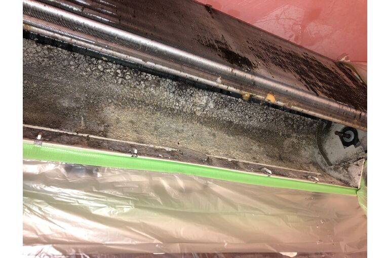 9536A855-3472-4C19-A89C-964EA5613EA7