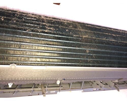 03986B7A-FB8B-4824-8A23-14264A7162DA