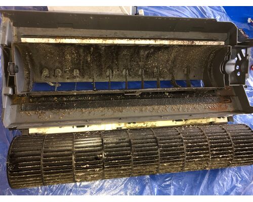 FF6A00BD-2065-46D4-AB74-7242D0D1F7DB