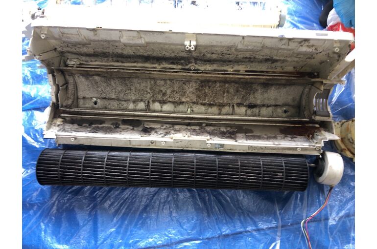 9EBEEF72-48A4-4378-BA69-22C8291D61D5