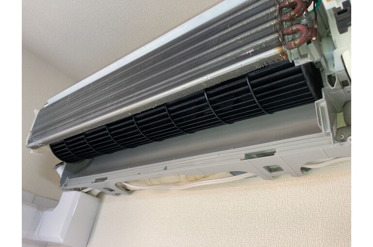 4DF4CD6C-5E84-464E-AB66-0C5CB15AD40E