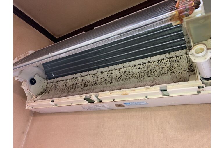 B2348789-5608-40C7-B0A0-841EA8805DB4