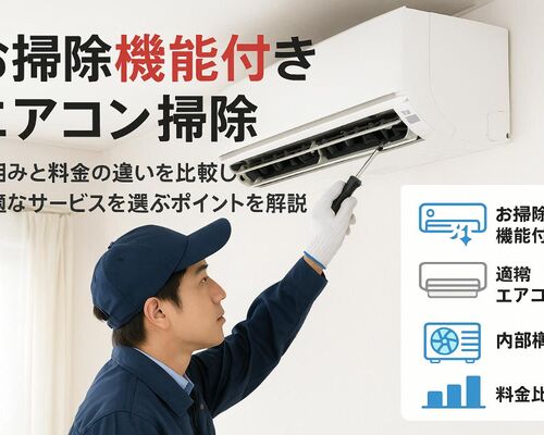 12 エアコン お掃除機能 クリーニング