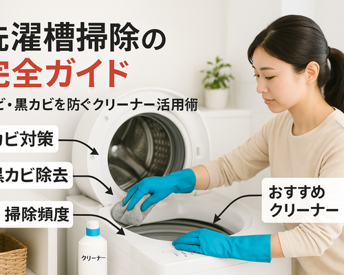 30 洗濯槽 掃除 方法