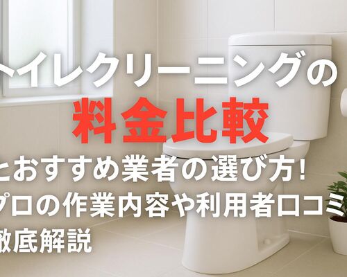 06 トイレクリーニング