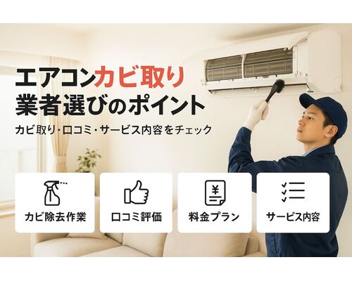 24エアコン カビ取り 業者 (1)