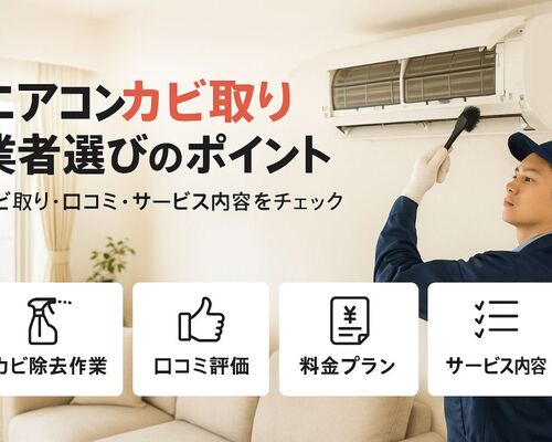 24エアコン カビ取り 業者 (1)