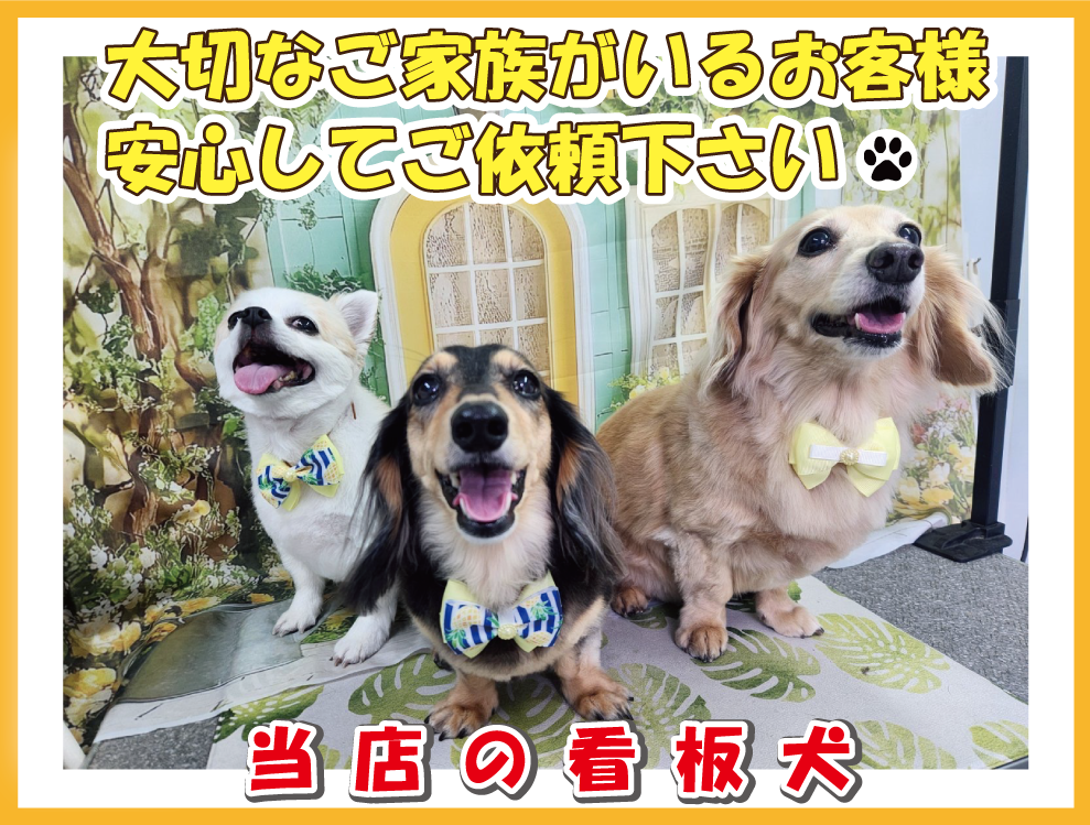 エアコンクリーニングのご紹介