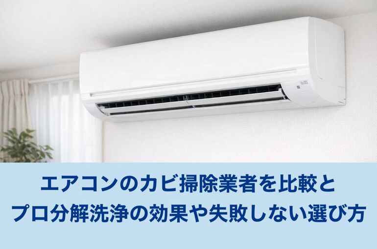 12エアコン カビ掃除 業者