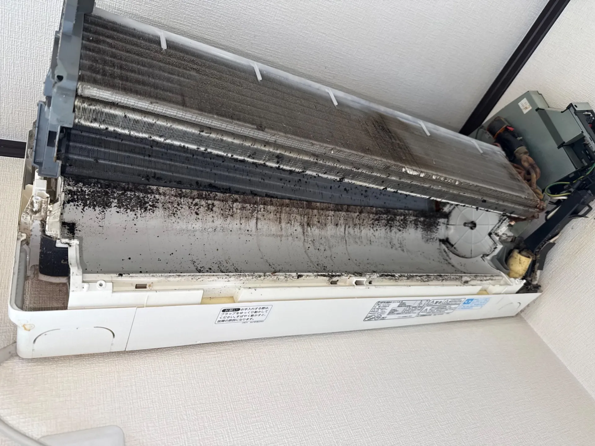 エアコンクリーニングと東京都港区で分解洗浄を安心して利用するためのポイント解説