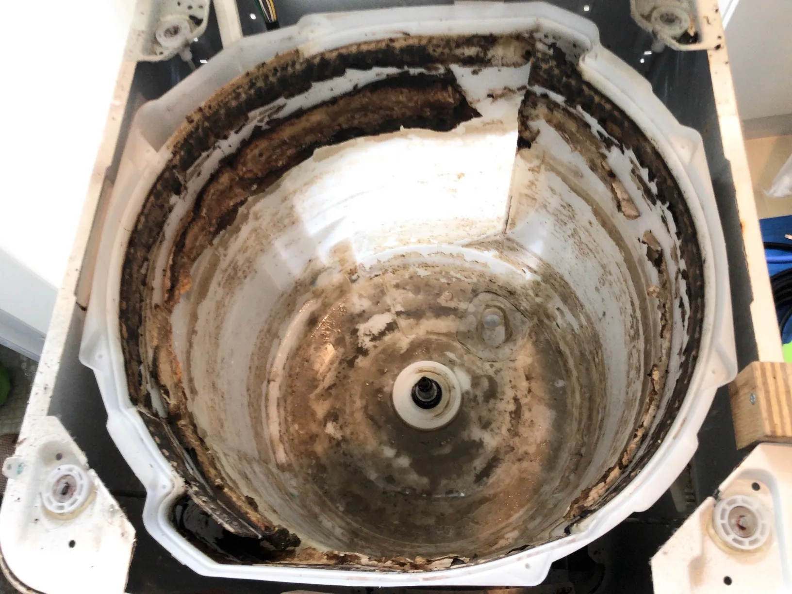 洗濯機クリーニング・千葉県流山市の分解洗浄で黒カビや臭いを根本解決する方法